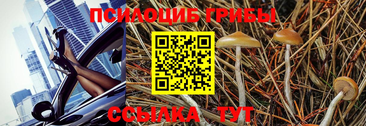 Назрань  Псилоцибиновые грибы Psilocybe  где можно купить   Вход с VPN 