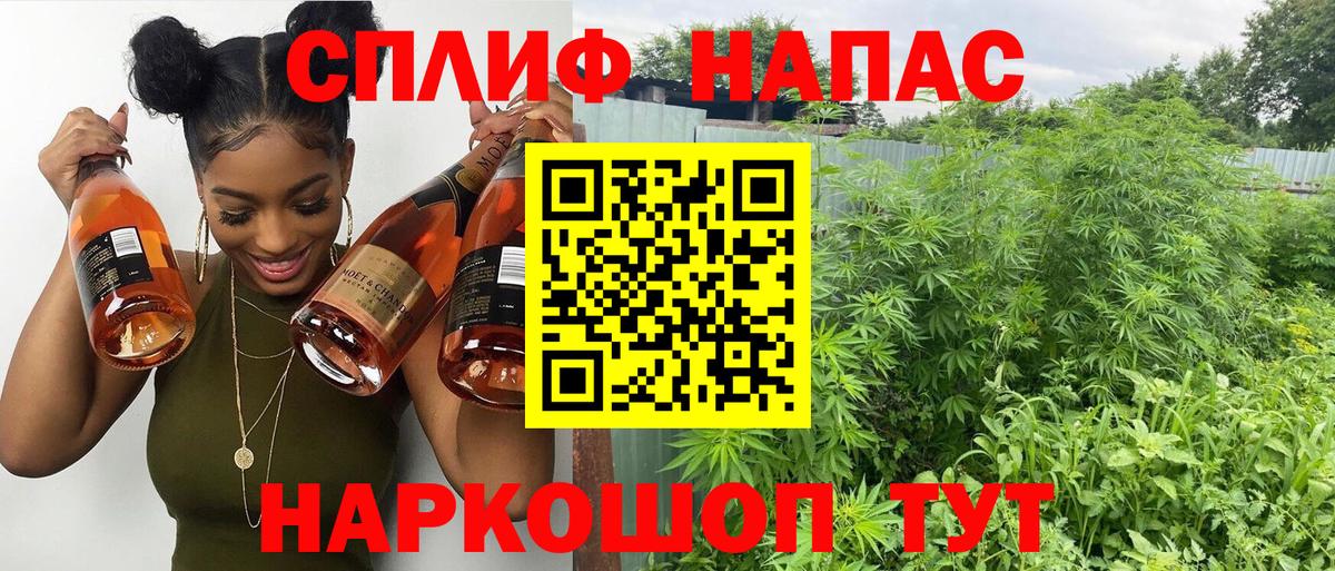 Каннабис Amnesia  Вход с VPN  Бошки Шишки White Widow  Назрань 